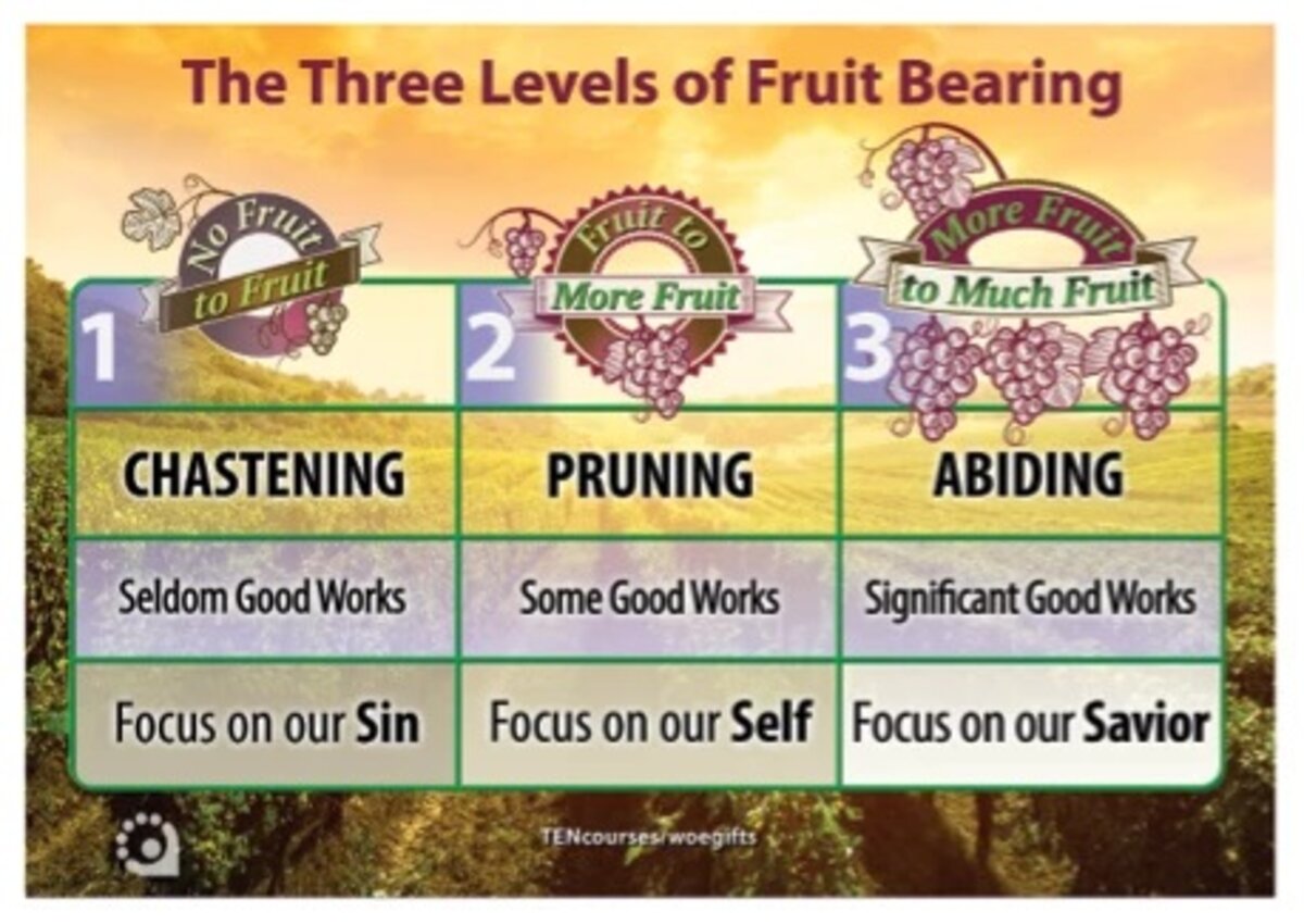 The Three Levels of Fruit Bearing Chart